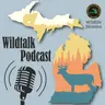 Fire, Carolina wrens, the gray fox and Rachel says farewell