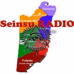 Seinsu Radio