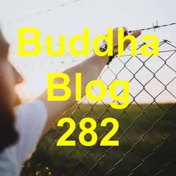 282-Gesunde Grenzen - Buddha Blog - Buddhismus im Alltag