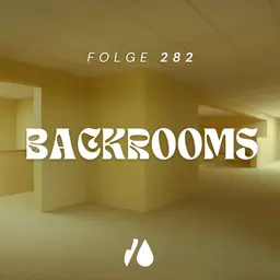 #282 - Backrooms