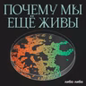 Время разбрасывать и время собирать. Как лечат камни в почках и мочевом пузыре