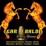 Garibaldi Stereo