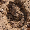 The Buried Figure In The Sand