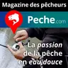 Pêche de la carpe en été, alternance des postes, des types de pêche et des lieux
