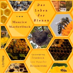 Leben der Bienen