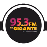 La Gigante (Piedras Negras) - 95.3 FM - XHGN-FM - Piedras Negras, Veracruz
