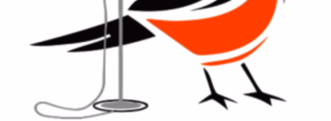 Bird's Eye View - Baltimore Orioles Unofficial Fan Podcast