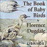 THE TROPIC BIRD