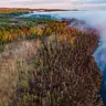 Ep. 81 - Keepin' Wetlands Wet: The Western NY Land Conservancy's Mission to Save Bear Lake
