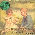 Bobbsey Twins at School, The by Laura Lee Hope