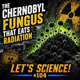 The Chernobyl Fungus That Eats Radiation