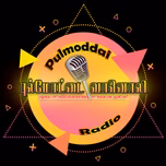 Pulmoddai Radio