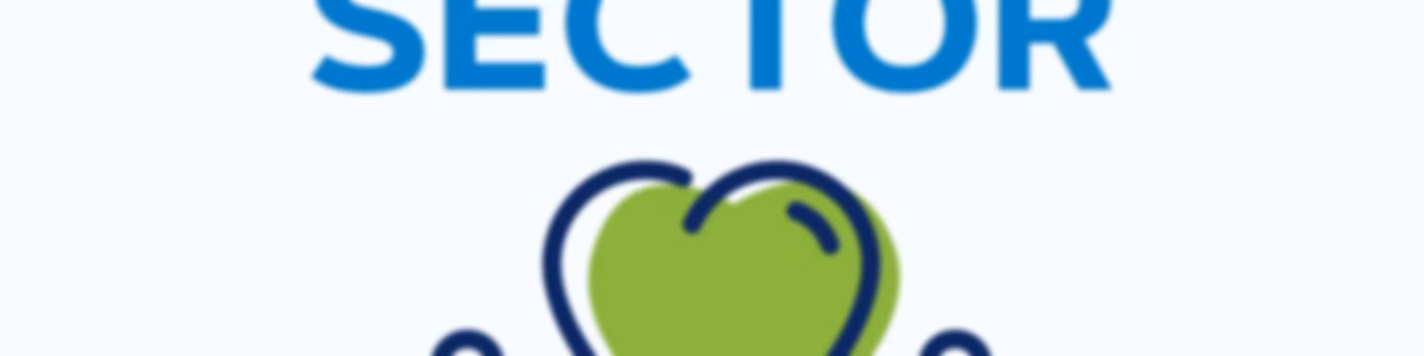 3rd Sector
