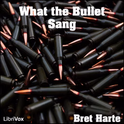 What the Bullet Sang