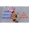 WWE Vault Review Bret Hart vs Sid in a Steel Cage (1997)!