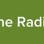 D.S. Online Radio Station