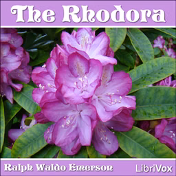 Rhodora
