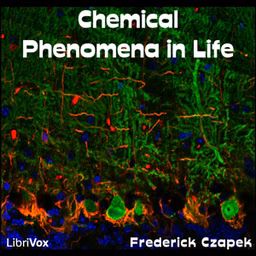Chemical Phenomena in Life