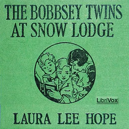 Bobbsey Twins at Snow Lodge