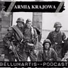 ARMIA KRAJOWA: La Estructura Secreta del Ejército Clandestino Polaco * Eduardo Suárez Cuesta - Acceso anticipado