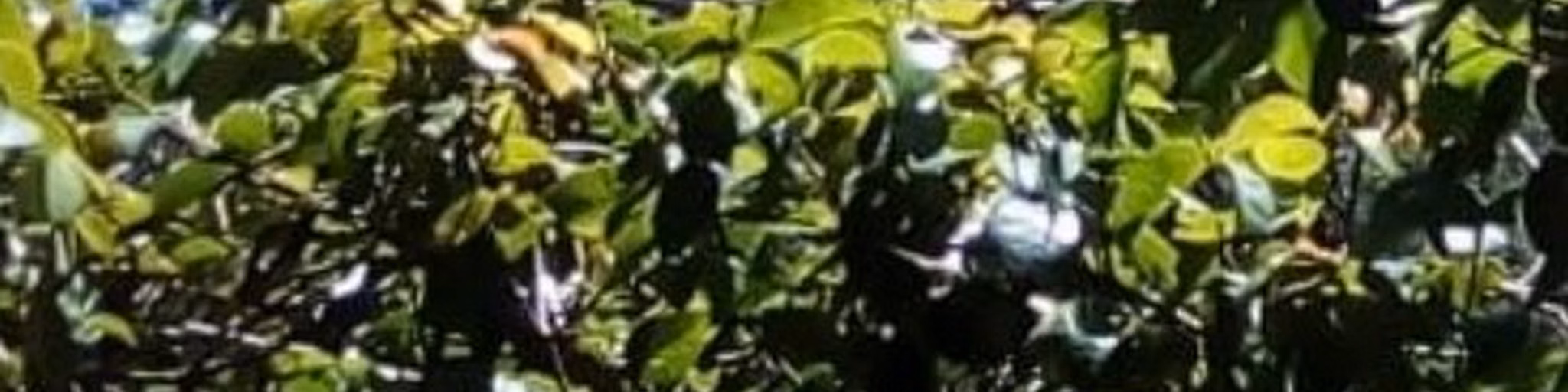 Jlucas Producoes
