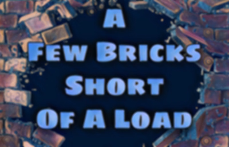 A Few Bricks Short of a Load