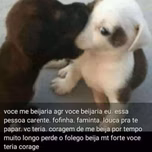 Zinho200.
