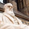Giving Up Darwin’s “Brilliant and Beautiful Theory”
