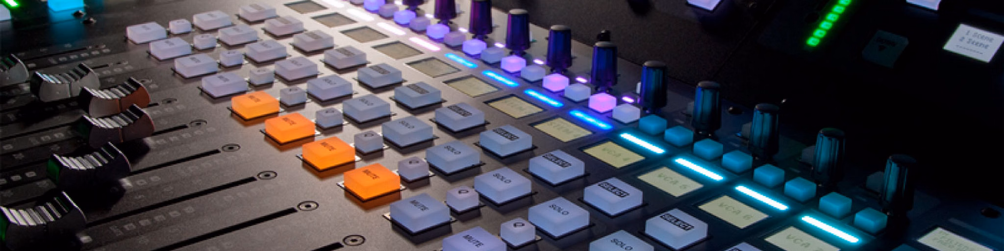 LLUVIA  DE  GIRASOLES