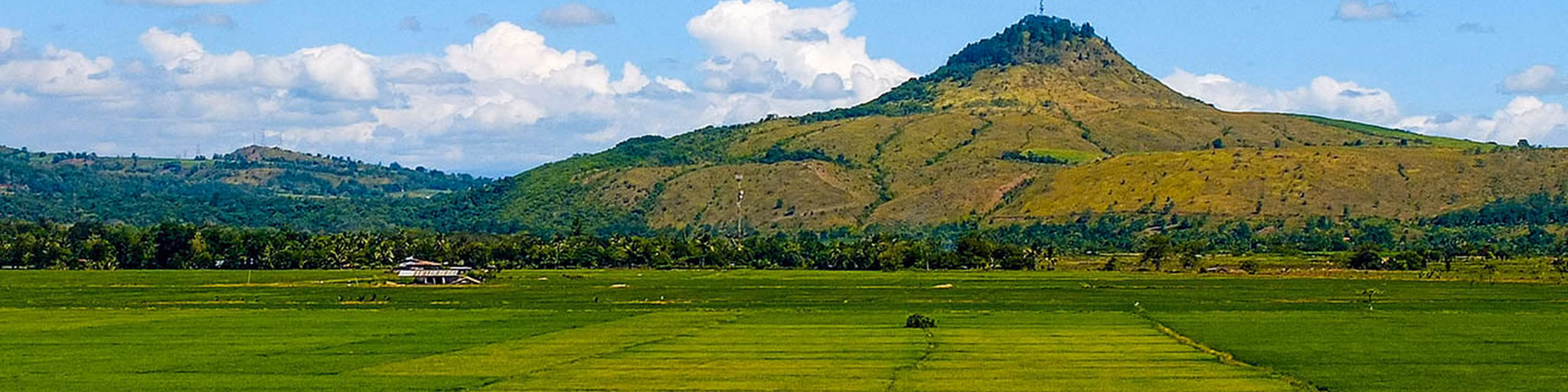 BukFM Ato ni bai
