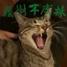 358-阿伦特和卢梭如何吐槽现代社会?对谈赵宇飞ft.华贸