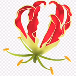 TamilFM
