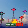 Invitan al Festival de Cometas en el Vivero y Estadero Pastarán