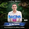 Descubre el fascinante mundo de los anfibios y reptiles