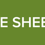 MBE SHEEZY