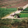 S7 Ep34: Why farmers struggle to adopt new agricultural technology