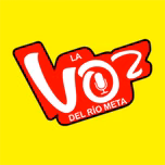 VOZ DEL RIO META