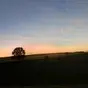 Einfach nur Perfekt