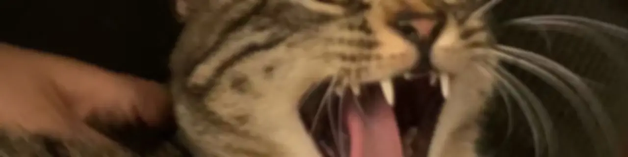 独树不成林