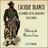 La Lengua Araucana