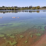 EPA emissions rollback, Unusual algae blooms in Lake Superior, New album from Milwaukee indie-pop project