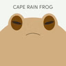 Cape Rain Frog | Week of July 20th