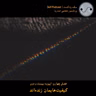 کیفیت‌هایمان زنده‌اند