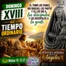 Domingo, 02 de agosto 2026 | Mateo 14, 13-21