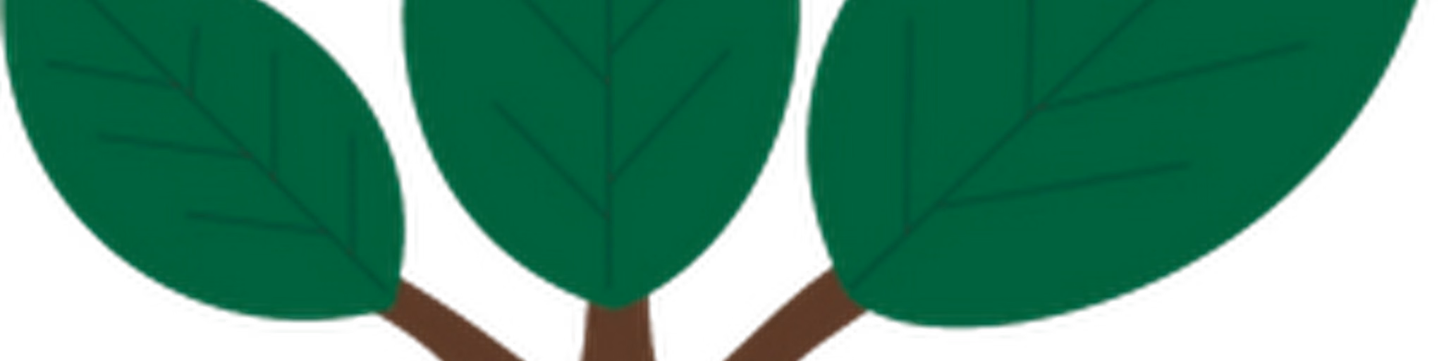 Green Gold 93.9Fm