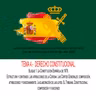 TEMA 4.- DERECHO CONSTITUCIONAL. Bloque 1. La Constitución Española de 1978.