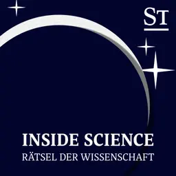 Wie sich Elefanten kilometerweit verständigen | Inside Science
