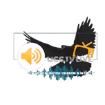 UCC TV LIVE