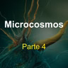 Microcosmos (parte 4)