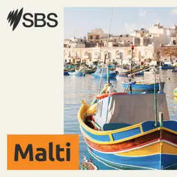 X’għandek tkun taf biex tkun biex timla l-formula taċ-Ċensiment 2026